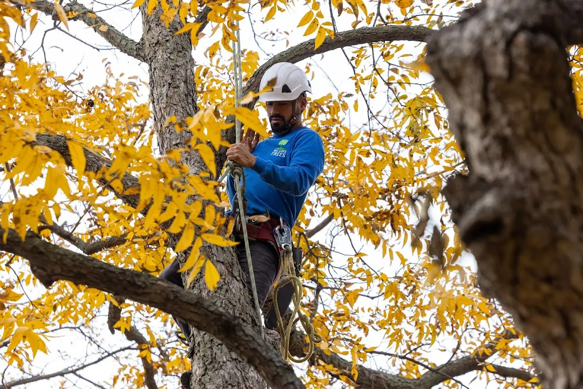 Skilled Storm Damage Cleanup crew working in Oil City